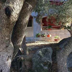  Casa vacanze S'umbra De S'ozzastru Italia